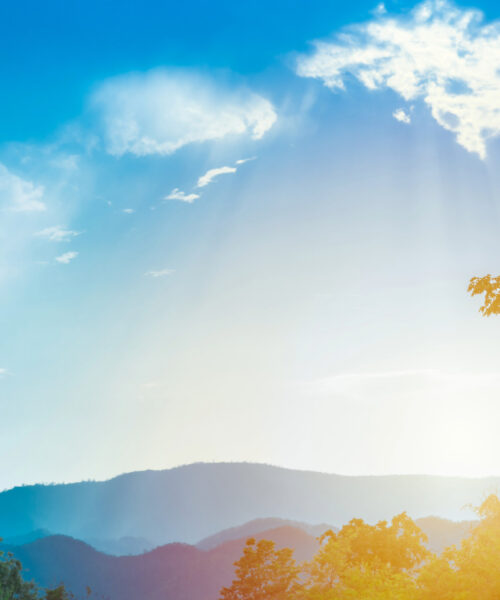 Десетки участници в Световния ден на ходенето в Русе